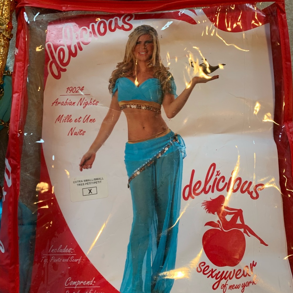 Princess Jasmine costume